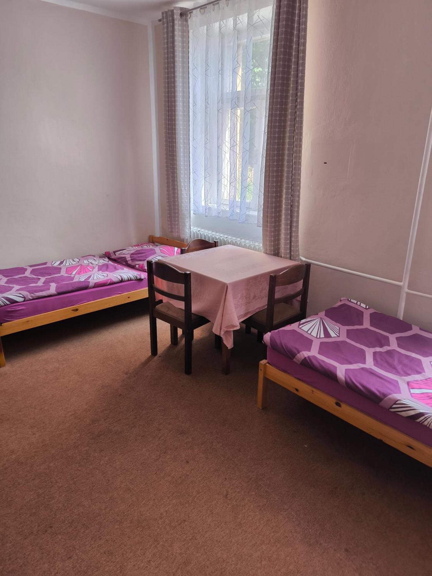 Penzion U Zeleneho Stromu Telnice Номер фото